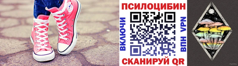 Псилоцибиновые грибы Cubensis  Протвино 